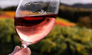 Un verre de vin rosé devant des vignes.