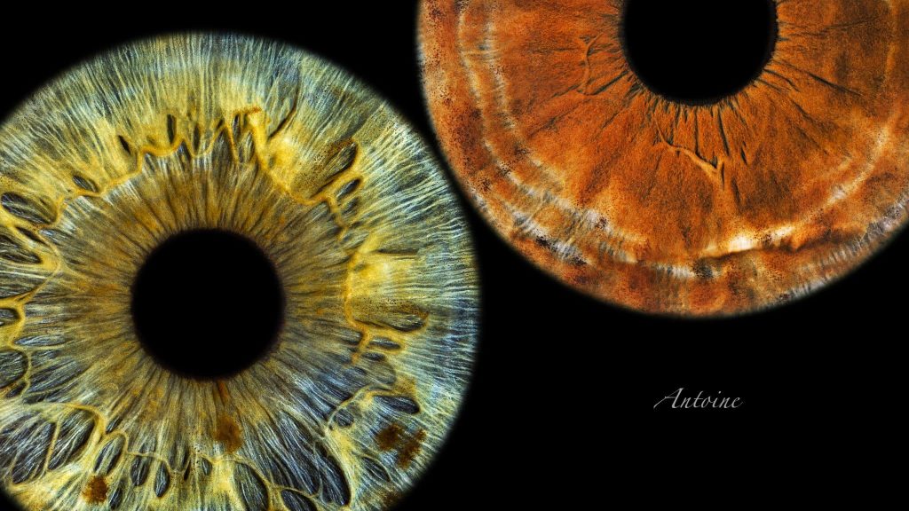 Lyon : Capter l’iris pour en faire une œuvre d’art avec Eyemazy