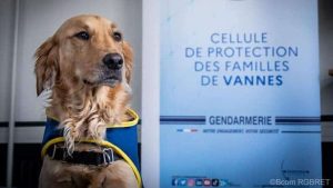 chien assistance judiciaire