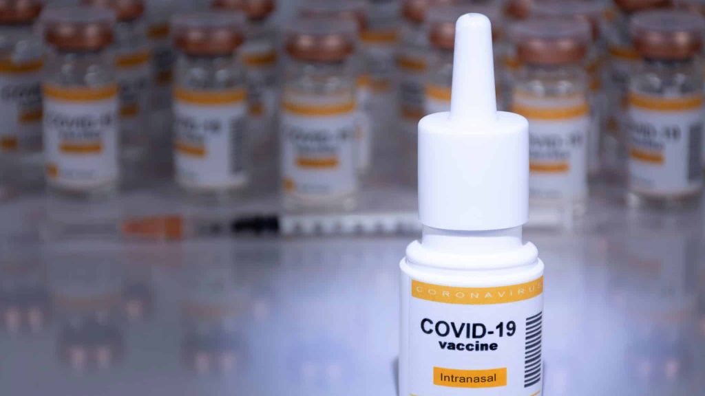 Covid-19 : un vaccin nasal efficace chez la souris