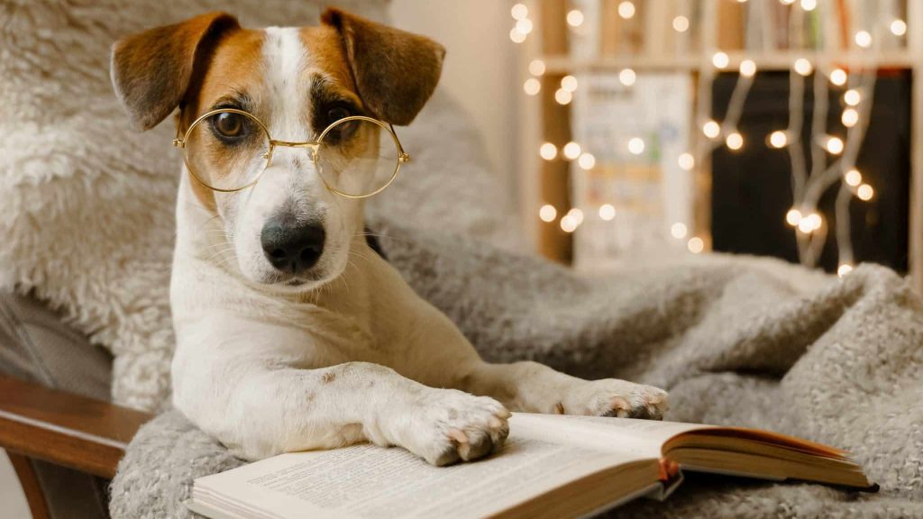 Paris accueille la 5e journée mondiale des intelligences animales 