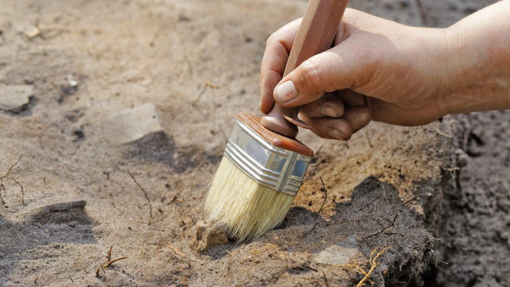 Il y a 17 millions d’années, le Gers était une jungle tropicale