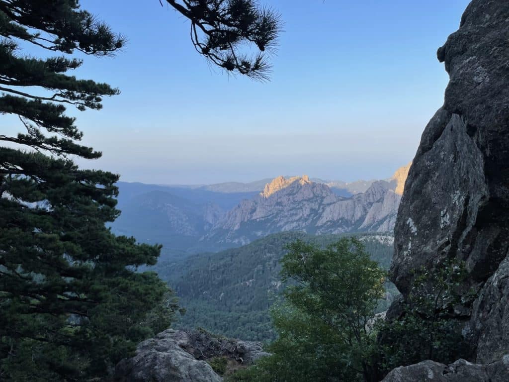Corse : l’Office national des forêts gère les incendies avec la nature