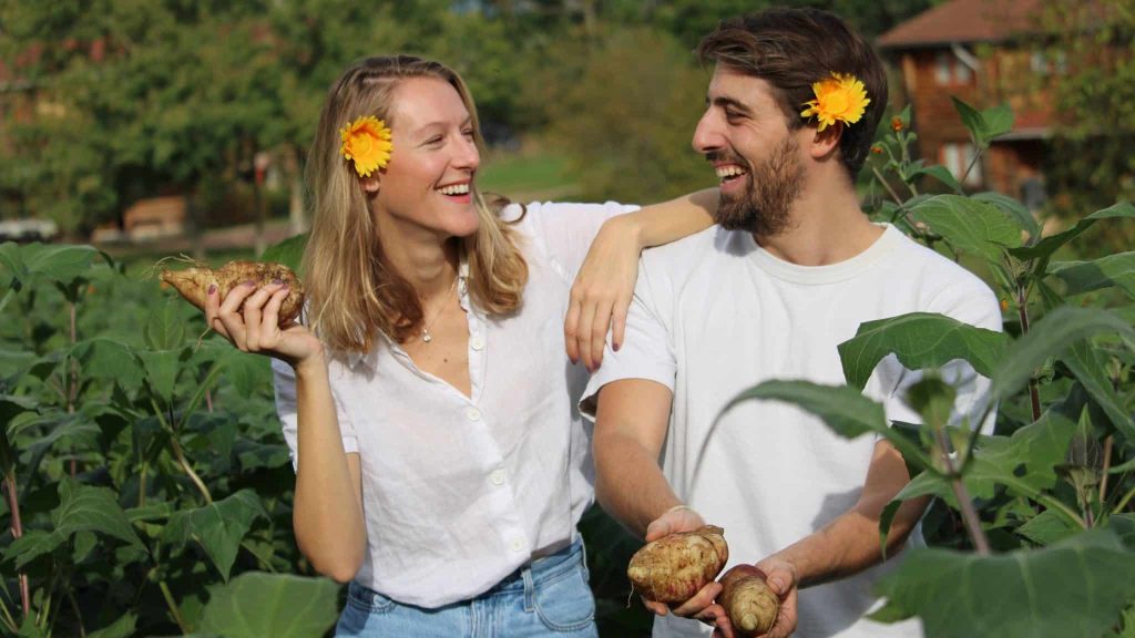 Alimentation : le yacon, le tubercule qui pourrait remplacer le sucre