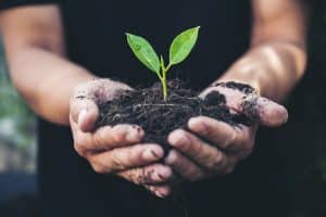 Livre : « Les Verdoyants » de Simon sont les visages de l’écologie