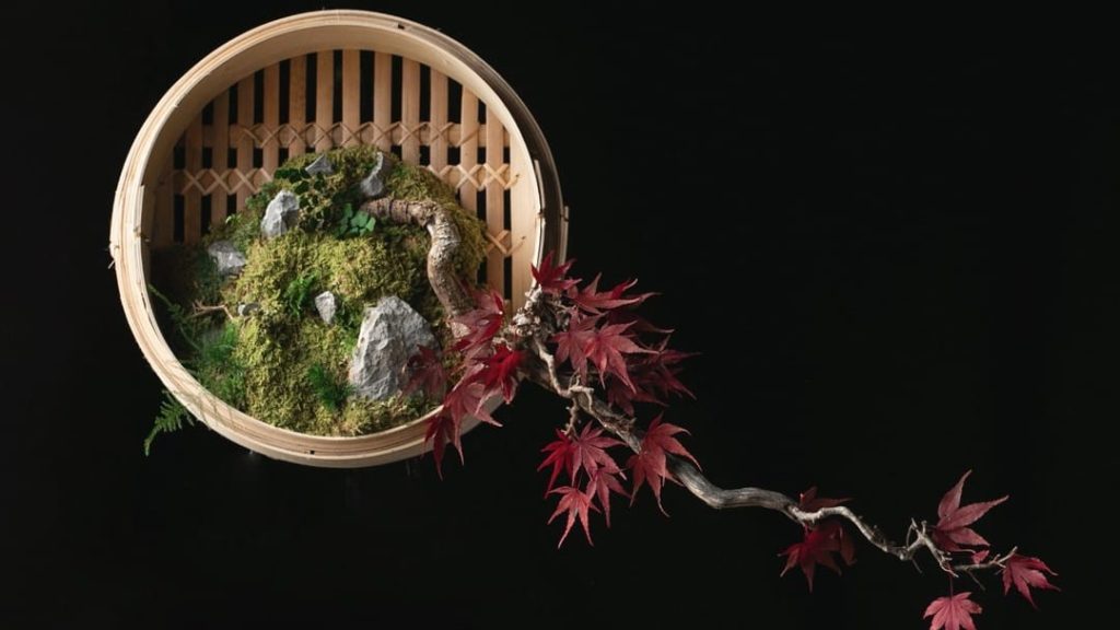 Jérome Carrion, designer du végétal qui sublime la nature