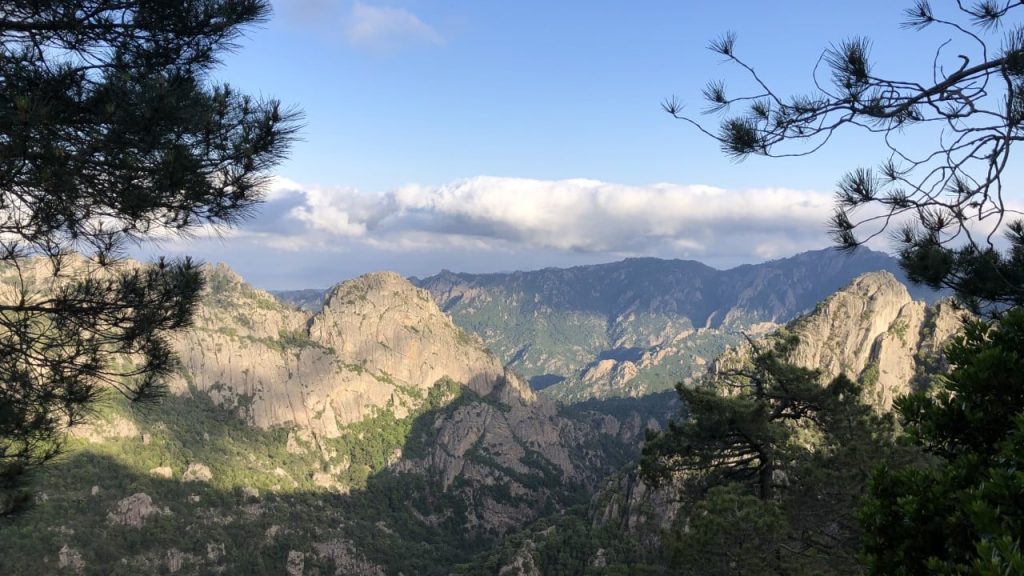 Corse : ancien soldat, il se tourne désormais vers la nature 