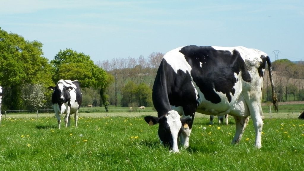 Une asso pour une agriculture durable, soucieuse de son environnement