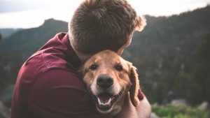 enterrement avec son chien