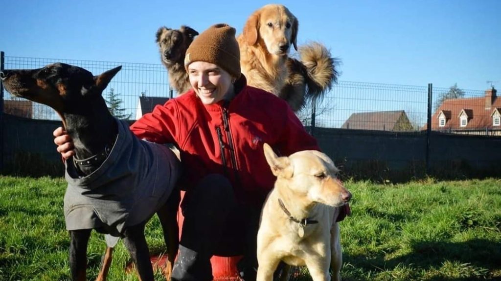 Le Napoléon, un hôtel pour chiens et chats en Normandie