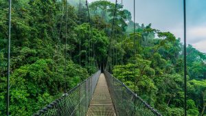 pont suspendu Costa Rica