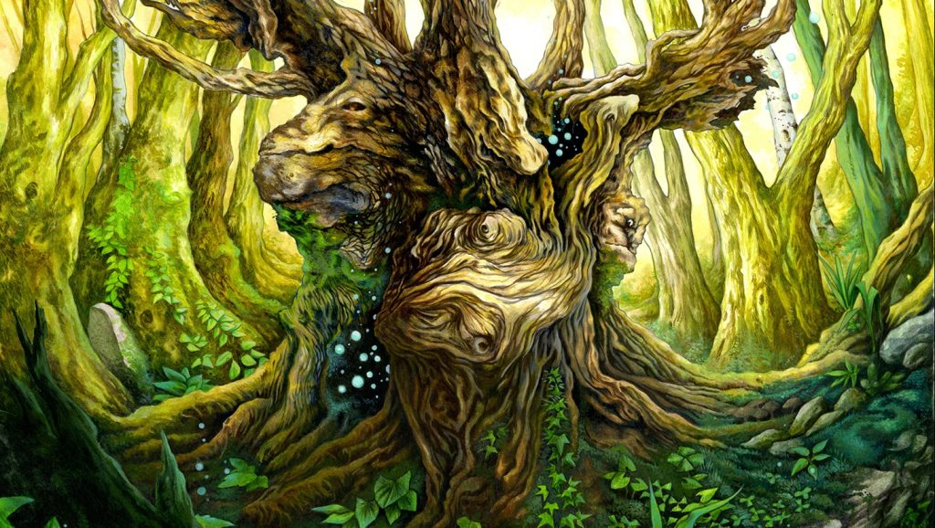 Livre : découvrir le pouvoir des forêts avec « Forêts merveilleuses »