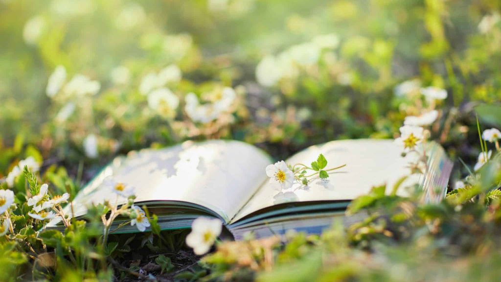 Maison d’édition Terre Vivante : « En 2023, on axe sur le jardin »