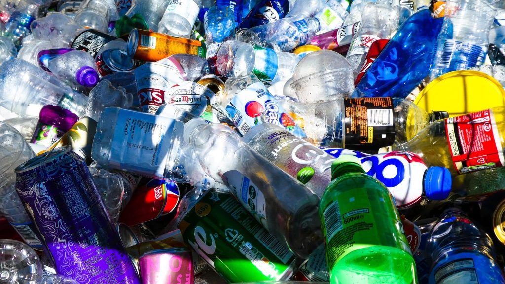Wetri, l’application qui transforme les déchets en monnaie