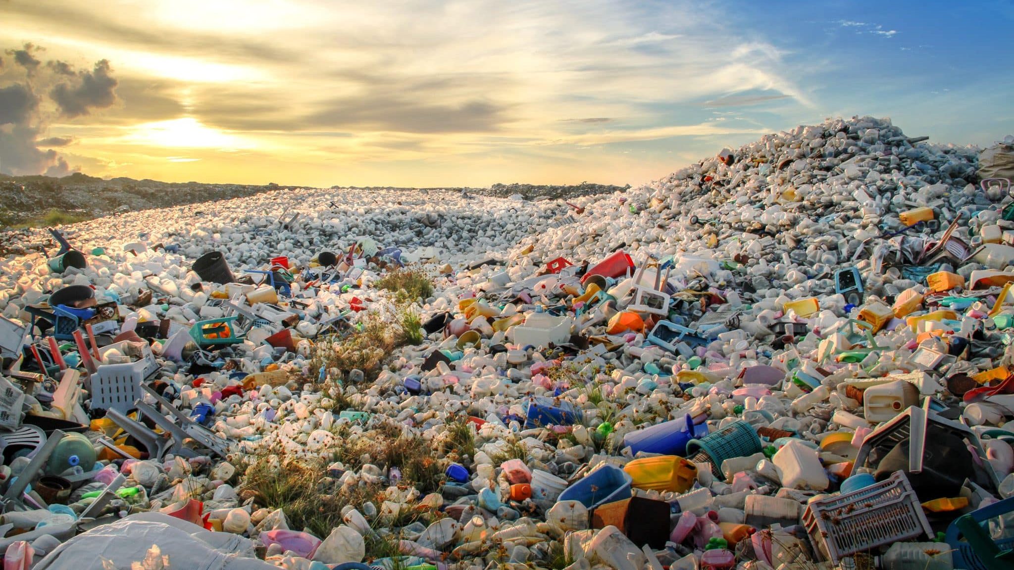 Comment réduire son empreinte plastique ? Découvrez le livre d’Hélène Seingier