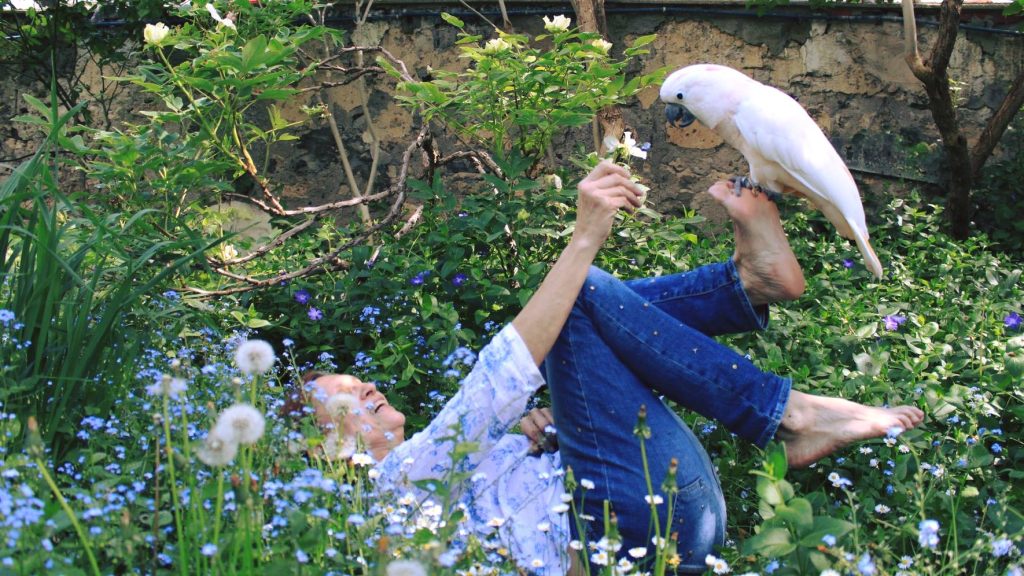 Insolite : elle a inventé la médiation animale avec des perroquets !