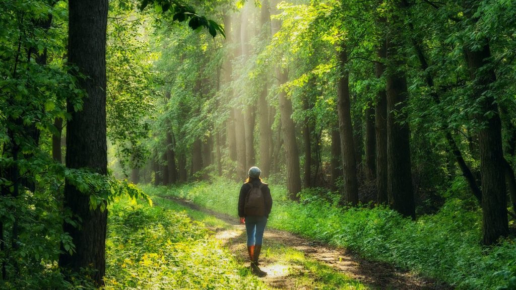 Bien-être : aller à la rencontre des autres permet de sentir exister