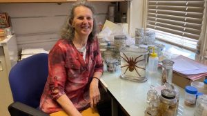 Christine Rollard araignées Muséum histoire