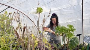 Le jardin de Cathy