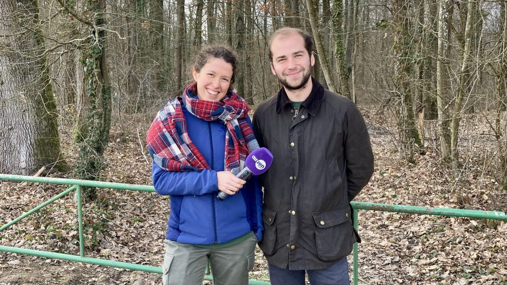 Eco Tree propose d’investir dans les forêts durablement gérées