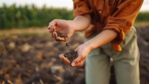 L’école du savoir vert : les jeunes sont-ils attirés par les métiers de la nature ?