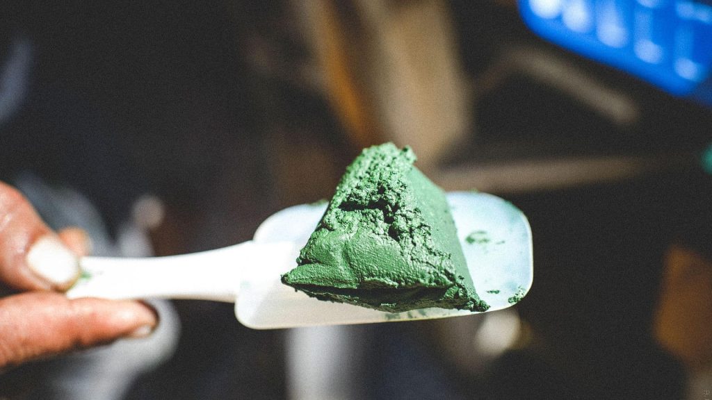 Gironde :  cette ferme artisanale produit de la spiruline