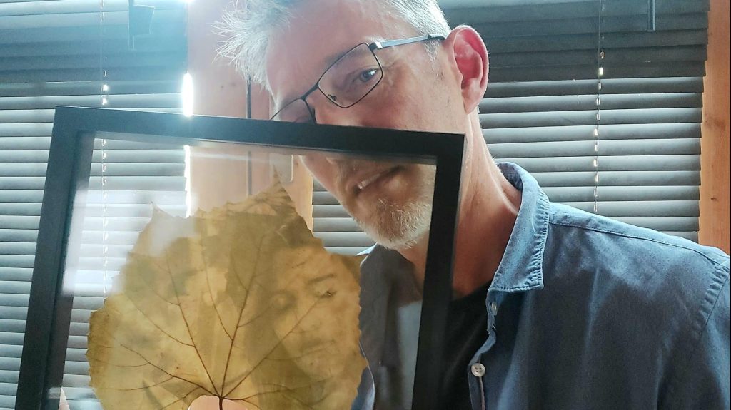 Art végétal : à la découverte des chlorographies de Michel Morelli