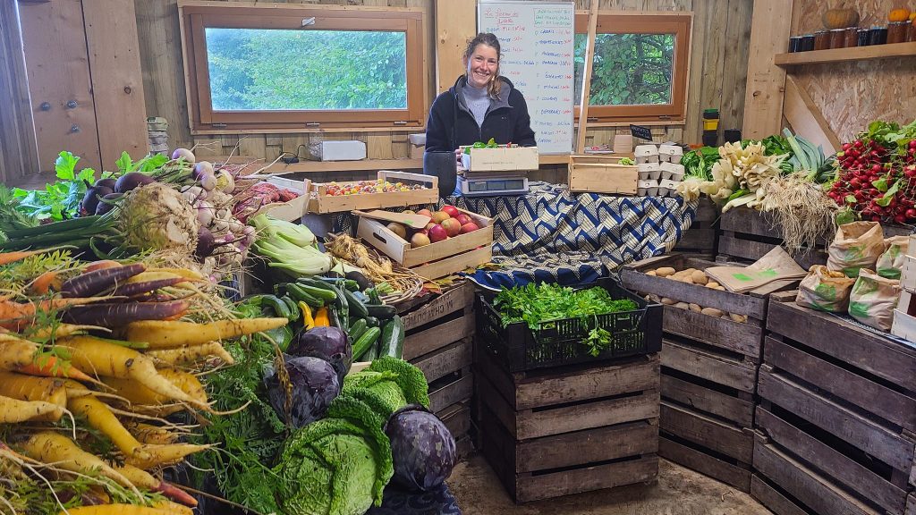 Maraîchage : un livre de conseils et astuces pour bien débuter