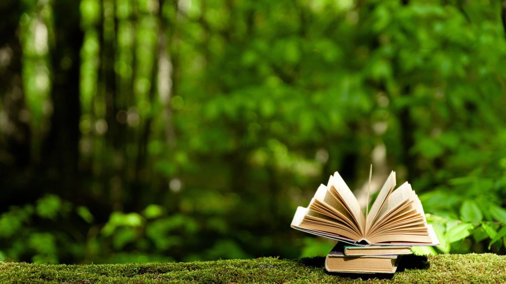 Festival : les Nuits des Forêts de retour du 9 au 18 juin 