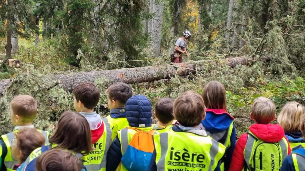 Éducation : un peu partout en France, la “forêt fait école”