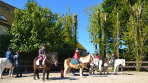 Domaine de Chevillon