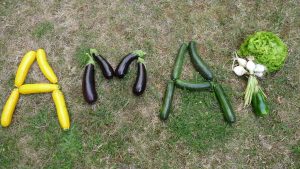 Les lettres du mot Amap sont formées au sol, sur de l'herbe, par des légumes (courgettes, aubergine...)
