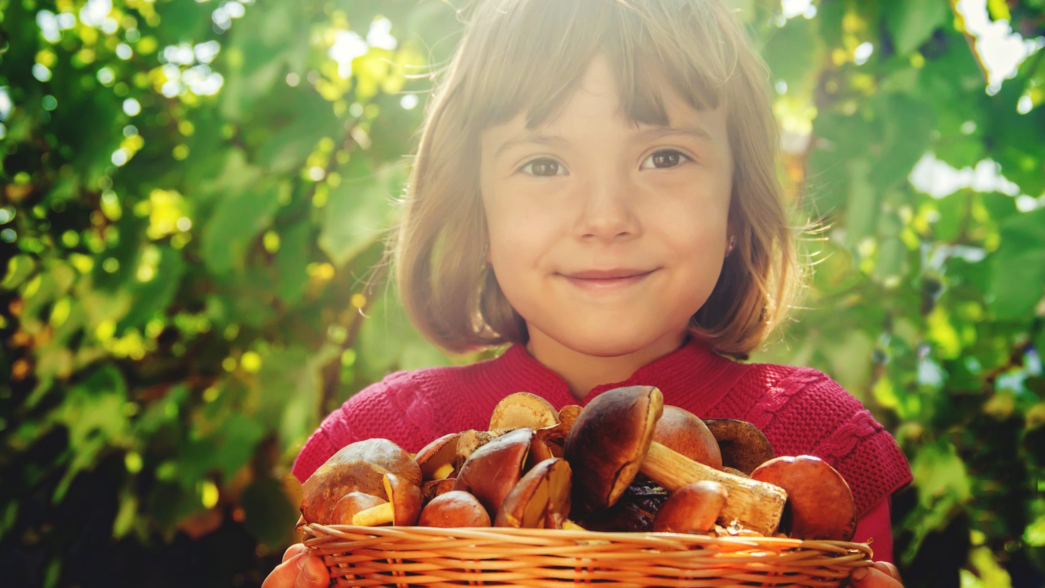 Enfant champignons