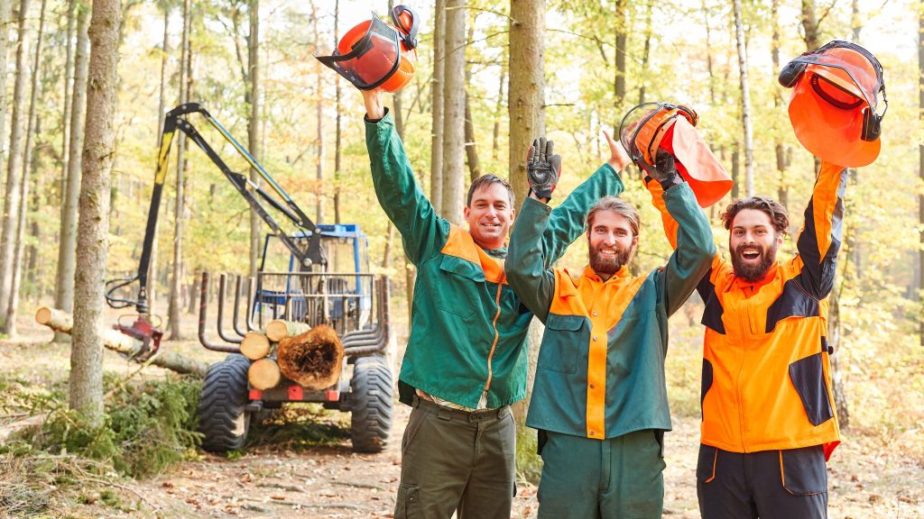 Pépinière environnement : l’insertion par les travaux forestiers