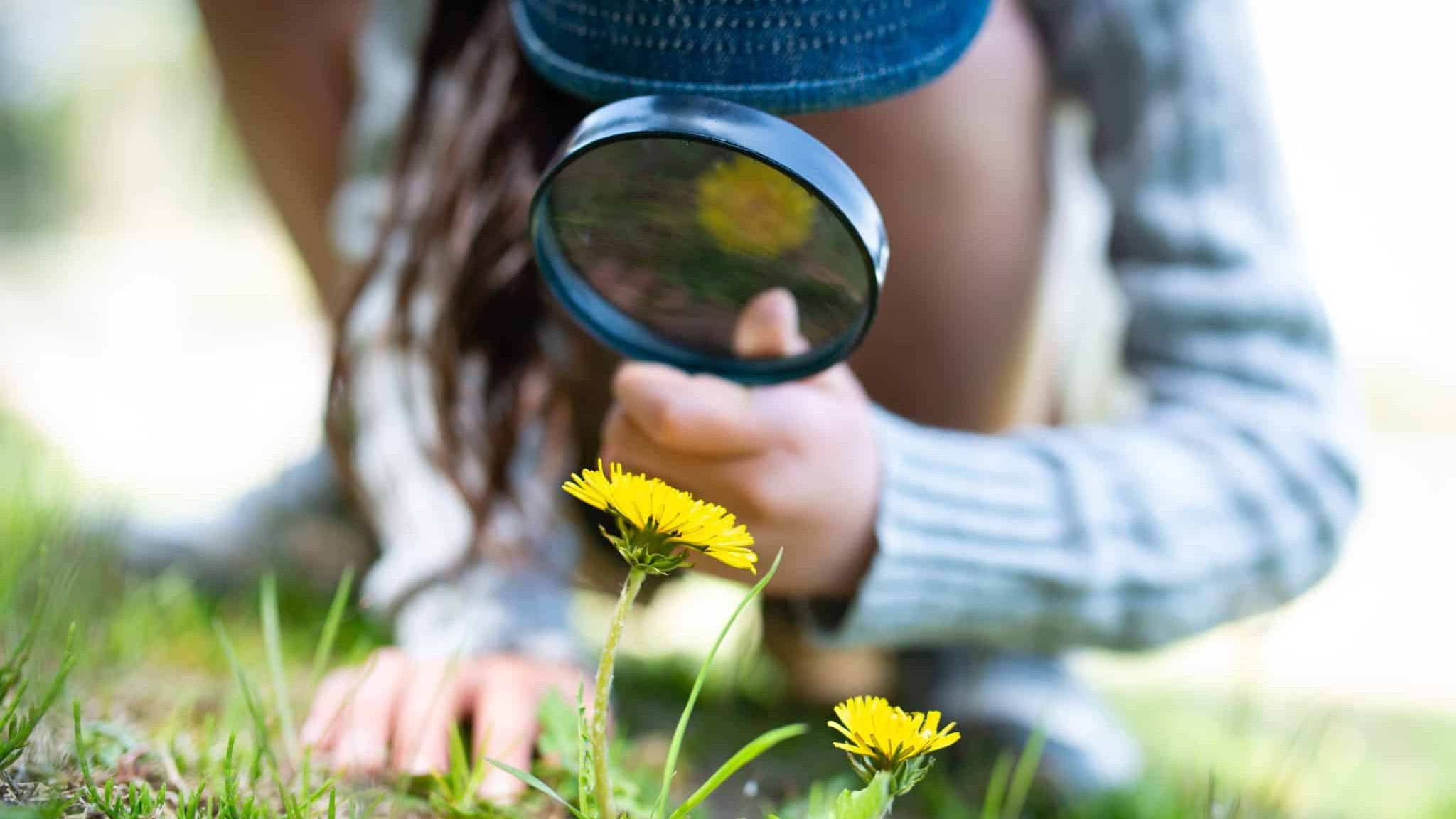 La scienza partecipativa al servizio della biodiversità