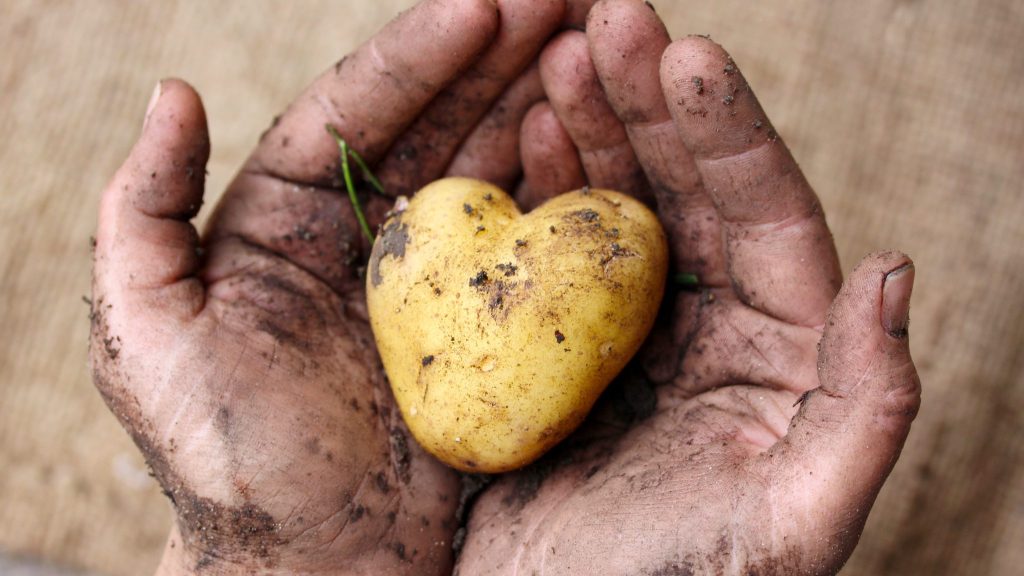 Printemps Bio : jusqu’au 21 juin, rencontrez les acteurs de la bio