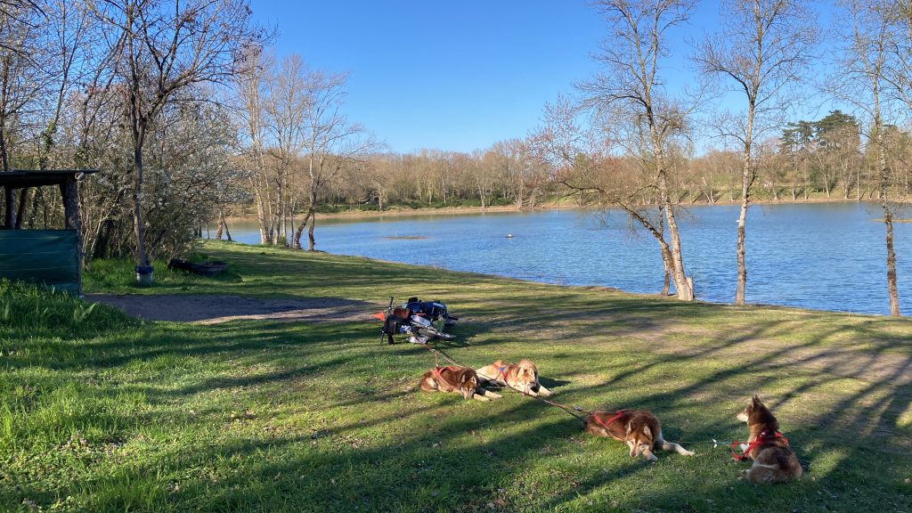 Il parcourt 1200 km à trottinette tirée par des chiens de traîneau