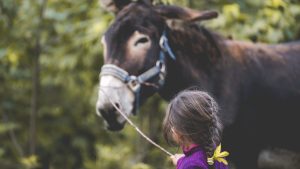 Micro aventures en familles