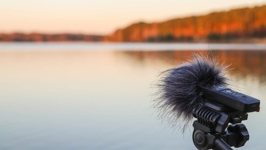La bioacoustique : les secrets de la communication sonore animale
