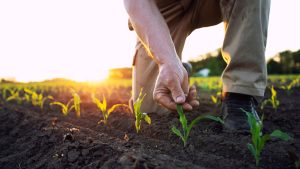 Genesis : Accélérer la transition agricole grâce à la santé des sols