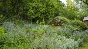 jardin naturel de Jacques Bernus