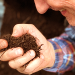 Des solutions bas carbone pour valoriser les déchets alimentaires