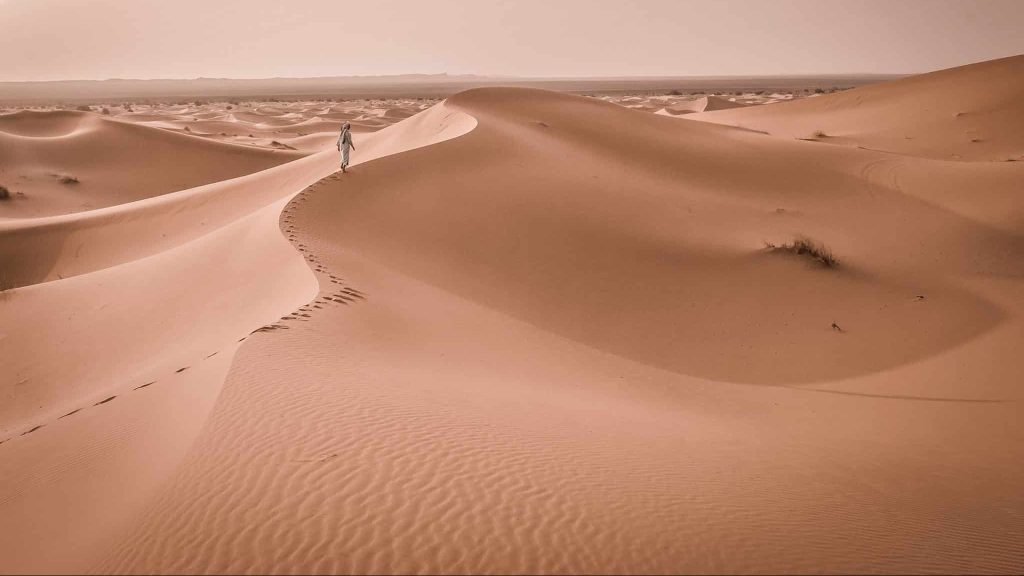 Lyon : à trois, elles vont se lancer dans un trek engagé