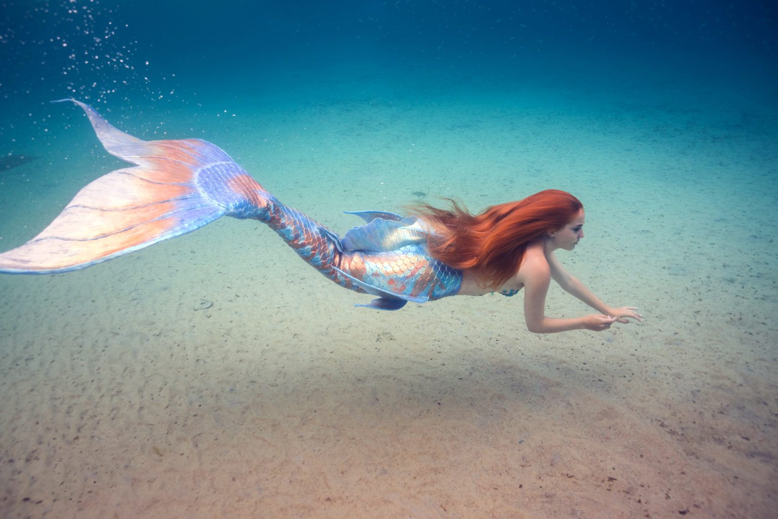Insolite : rencontre avec une véritable sirène professionnelle