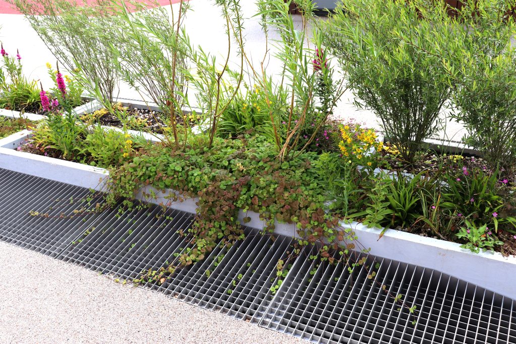 Vertuo végétalise durablement et sans arrosage les espaces urbains