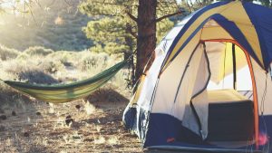 Campsite at golden hour