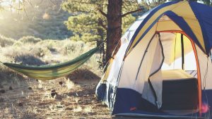 Campsite at golden hour