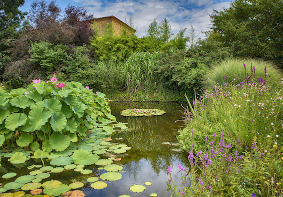 Jardin d'eau de Carsac