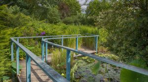 Jardin d'eau de Carsac