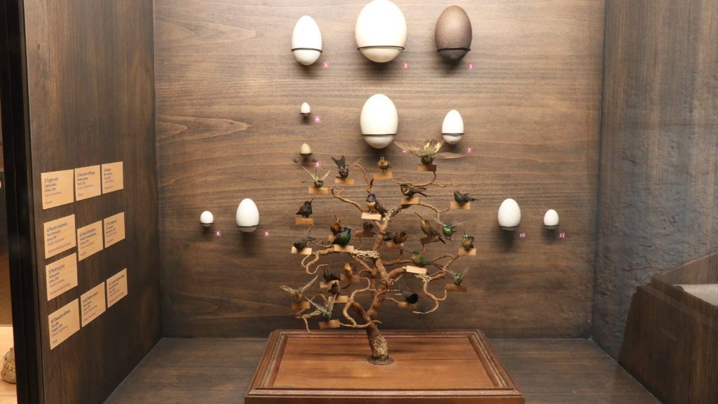 La biodiversité à portée de tous au Naturalium de Besançon